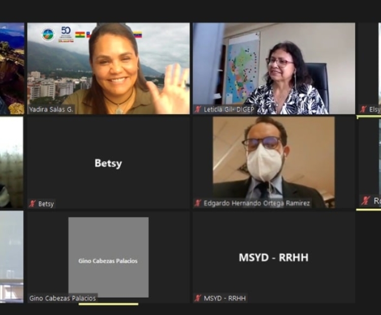 Reunión del Comité de Recursos Humanos en Salud